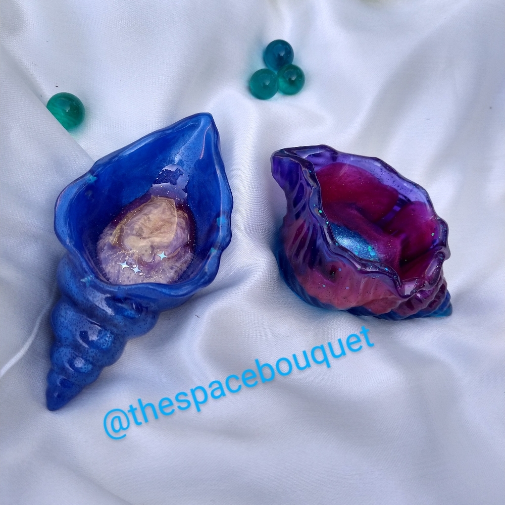 Shell dishes